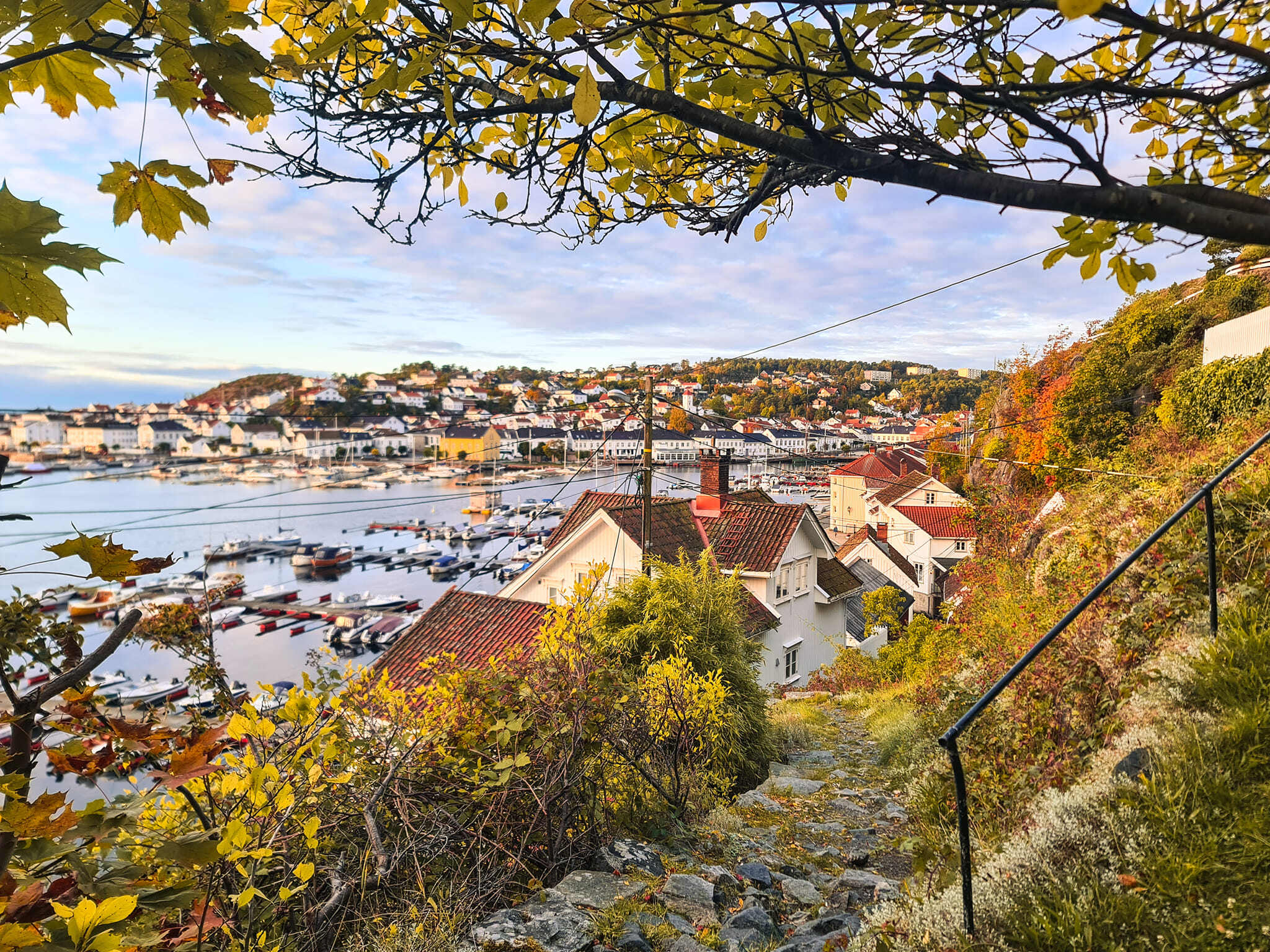 Risør municipality